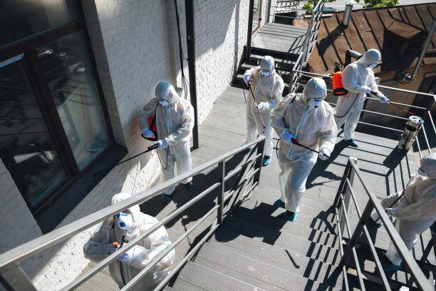Best Mold Odor Removal Services  in Staples, CT