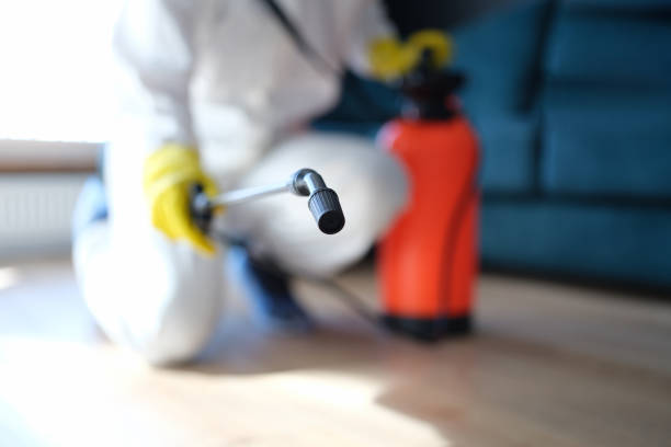 Best Mold Damage Restoration  in Staples, CT
