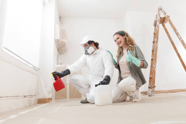 Mold Remediation for Vacation Homes in Staples, CT