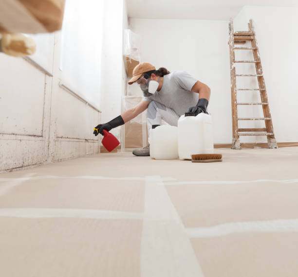 Best Indoor Air Quality Assessment  in Staples, CT
